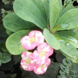 Meet your Posher, Kimberley